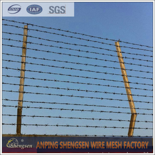 Barbed Wire Airport Fence