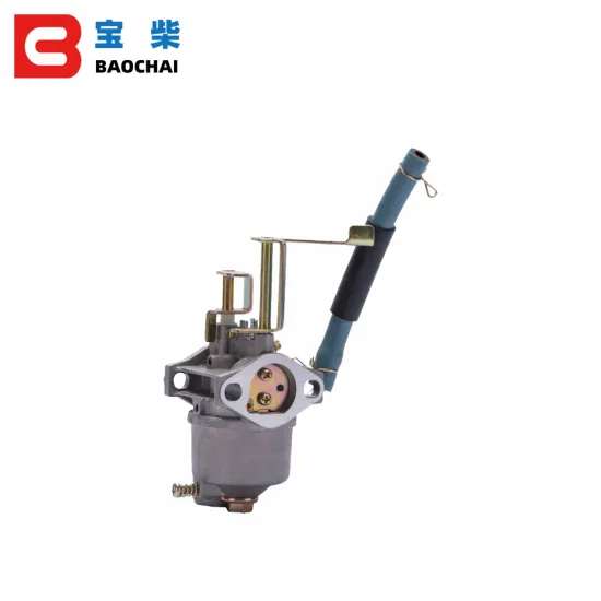 P15A Small Gasoline Engine Carburetor 152F 154F 156F Generator Spare Parts Accessories