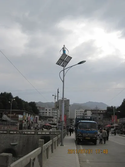 Energy Saving Wind Energy And Solar Power Off Grid Street Lighting > 30000h 175v - 240v