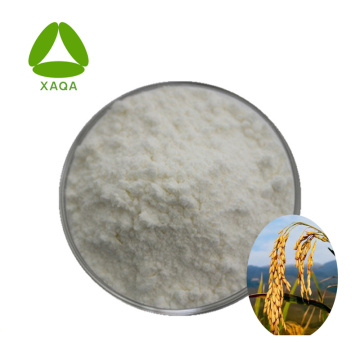 Rice Bran Extract Gamma Oryzanol Powder 98%