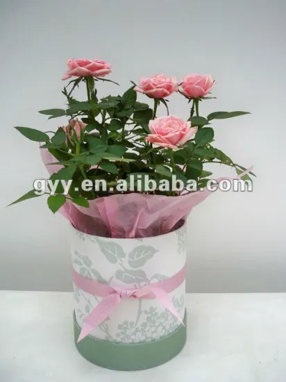 Flowers packaging rigid round boxes