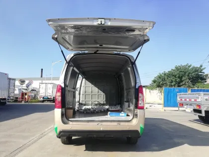 Wuling G100 Series New Energy Cargo Van - Mini Electric Van