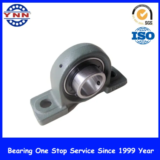 China Factory and High Level Pillow Block Bearing (UCP 206)
