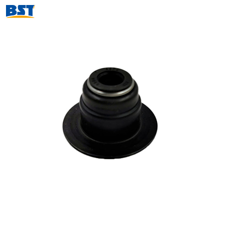 CUMMINS engine ISLE Oil Seal Valve 5448124 