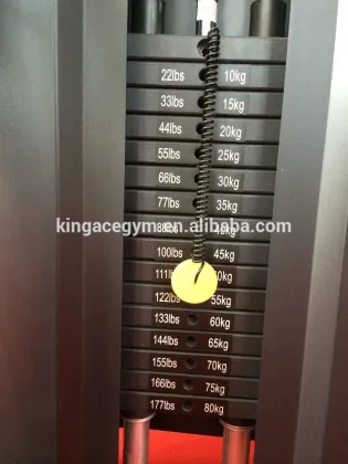 Commercial Pec Fly/Gym Equipment