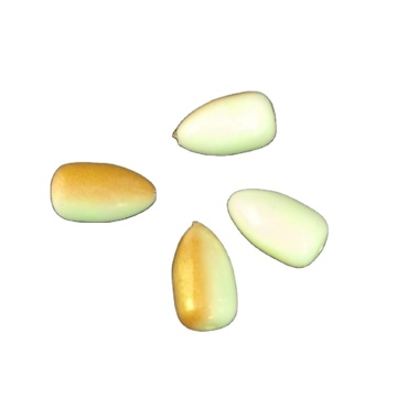 UV Coated CHXFOAM Bullet Fishing Floats - Gold/Luminous Green