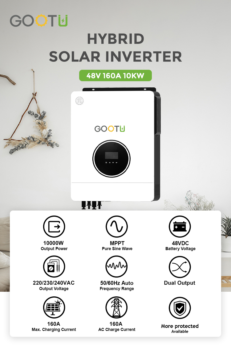 Dual Input Solar Inverter