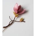 /msite/products/detail/productid/68305062/id/1704599.html