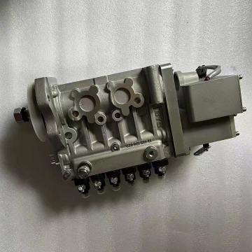 Assy 5258153/C5258153/CU5258153 de pompe à carburant du moteur CUMMINS