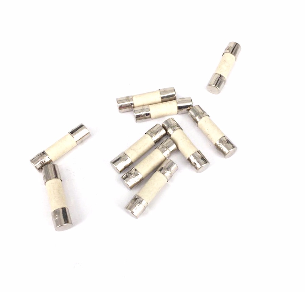 O/DxLength 5x20mm/6x30mm 160mA 200mA 1A 5A 10A 15A 20A 250V Fast/Slow Blow Ceramic Tube Fuses Electron Component Microwave Oven
