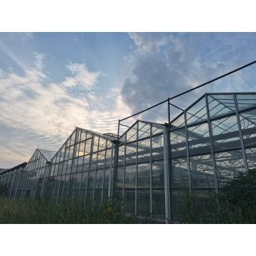 Agricultural Ecological Park Greenhouse
