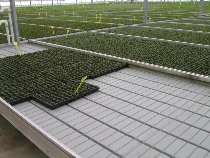 Indoor Hydroponic Vertical Farming System: 4x8 Tray Seeding Nursery Rack & Tidal Seedbed