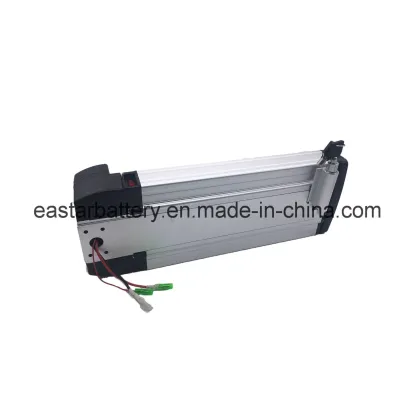 Electric Bike 48V 20ah Lithium Battery