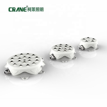 Outdoor Waterproof RGB LED Point Lights 2W 4W 6W for Building Facades