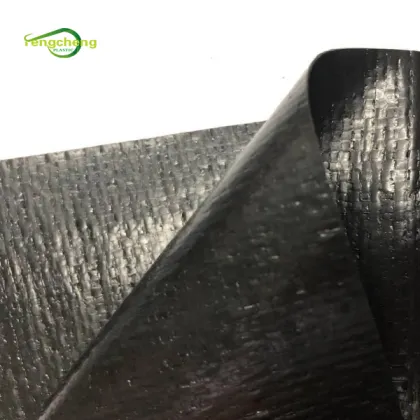 Standard Fish Pond HDPE Geomembrane Pond Liner