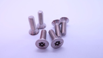 Stainless Steel Pan Head Torx Screws