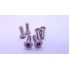 Stainless Steel Pan Head Torx Screws