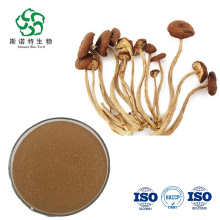 السعر المعقول polysaccharides Agrocybe Aegerita مستخلص