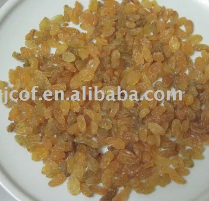 2009 new crop golden raisin(712)