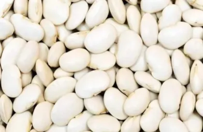 White Kidney Bean Extract