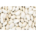 Extracto de riñón blanco