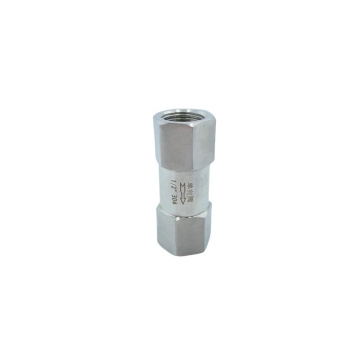 Industrial Threaded Check Valve