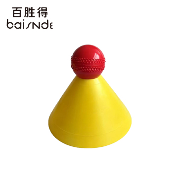 Large Yellow Training Cones