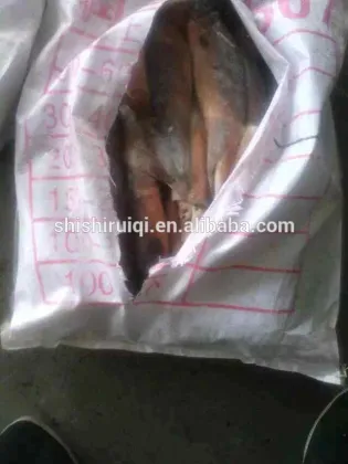 Frozen squid high quality illex squid, whole squid seafood