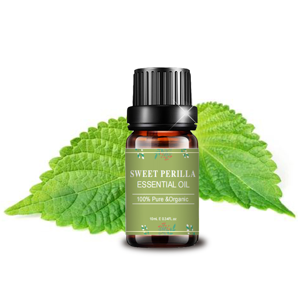 Bulk Supply Pure Natural Sweet Perilla Essential Oil