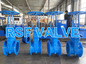 OS &amp; Y Aumento della valvola del cancello del sedile resiliente