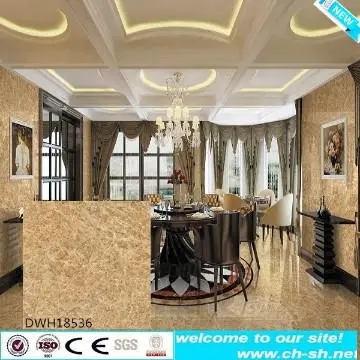 wall tile 300x600 polished