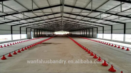 High quality automatic broiler poultry farm free range chicken equipment