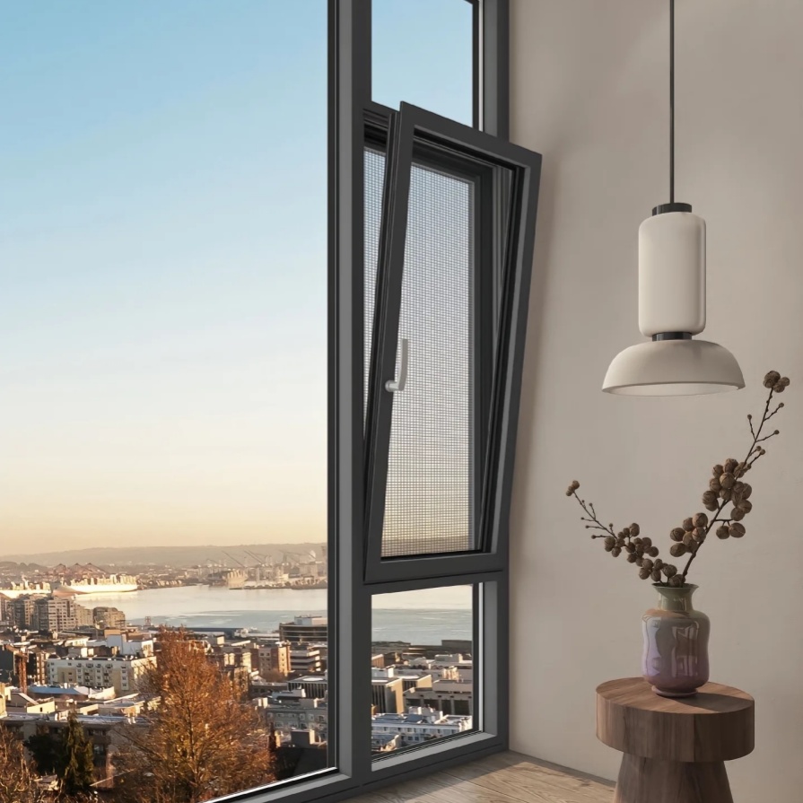 004-2 Downsized window