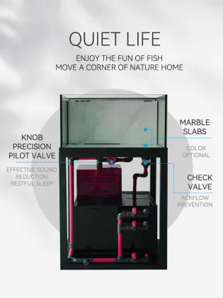 New Goldfish and Turtle Filter Square Fish Tank