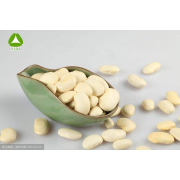 White Kidney Bean Extract Powder 1% Phaseolin