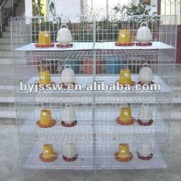 Poultry farming popular used H type chick cage,baby chick cage