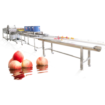 Linea di produzione industriale per lavaggio, asciugatura e lavorazione della frutta