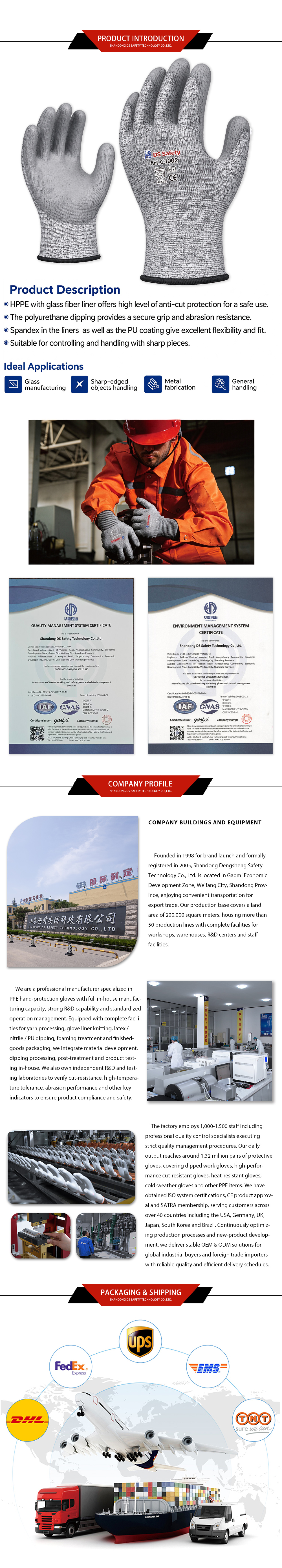 DS Safety-C1002-x