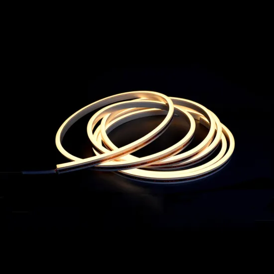 Neon LED lamp strips