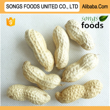 Groundnut Inshells From China