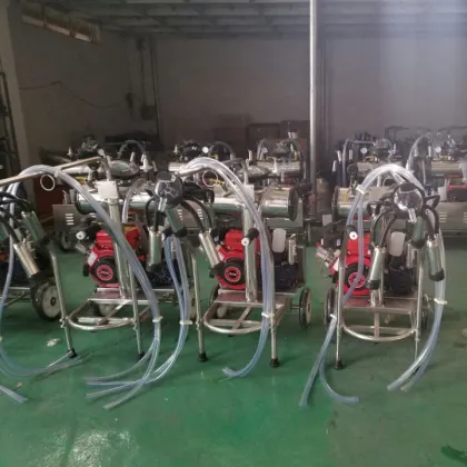 Portable Single Milk Vacuum Pump Cow Milking Machine Price