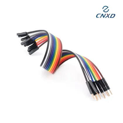 Dupont Wiring Cable Assembly