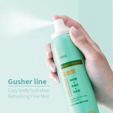 Wholesale Aluminum Cans Facial Spray 200ml with Witch Hazel, Purslane, and Hyaluronic Acid Hydrating Face Mist