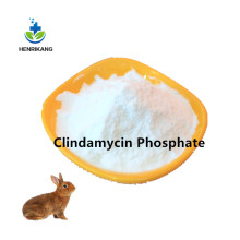 Pharmaceutical API Clindamycin Phosphate oral solution
