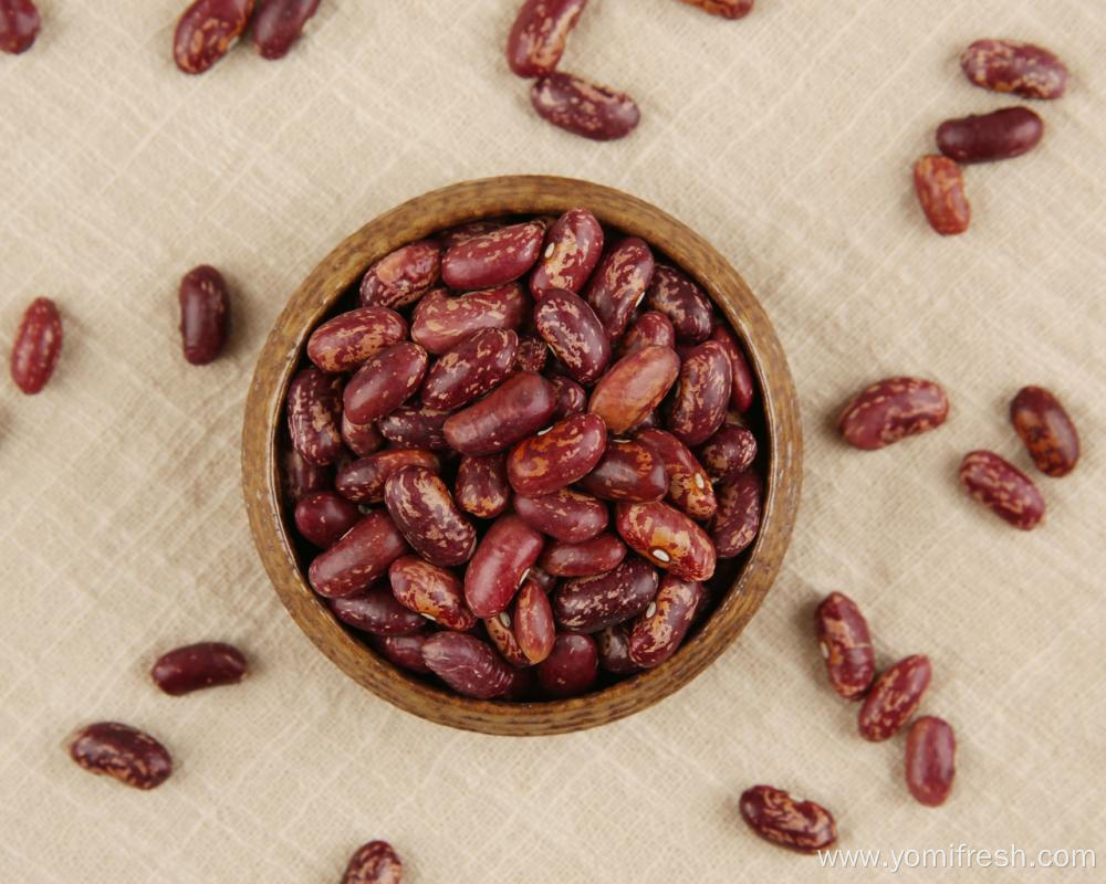 Kidney Beans Weight Loss