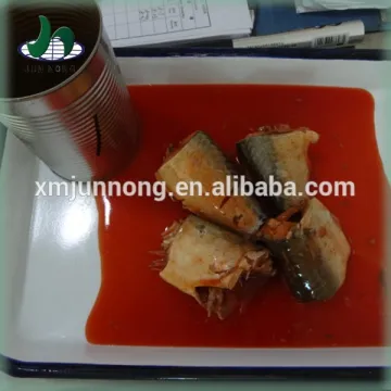 Wholesale delicious tomato sauce canned mackerel fish