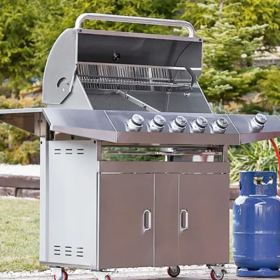 Freestanding Gas 6 Burner