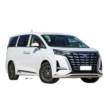 उच्च-स्तरीय 7-सीटर डेन्जा टेंगशी डी 9 डीएम-आई: 4WD के साथ 2024 लक्जरी PHEV MPV