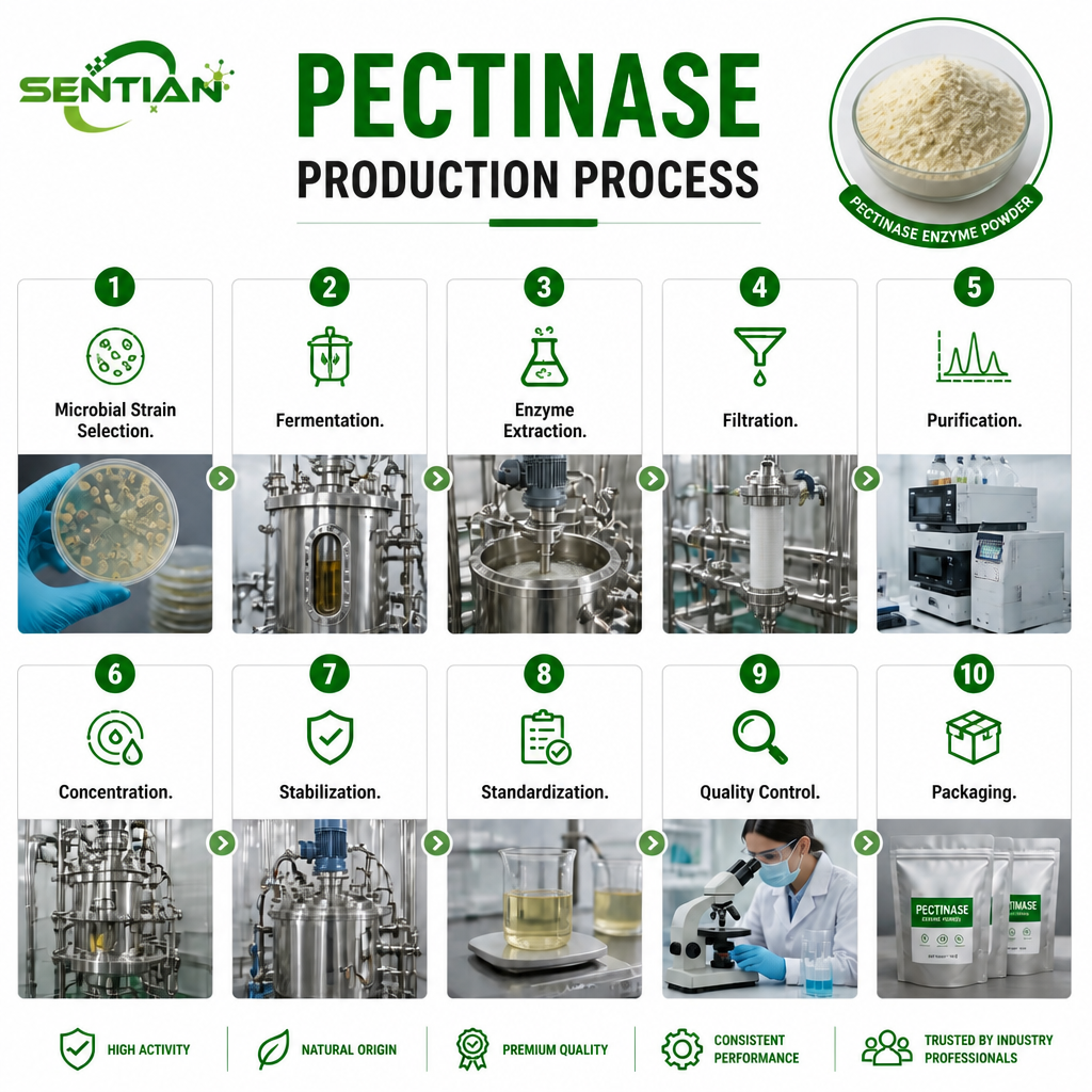 Pectinase1