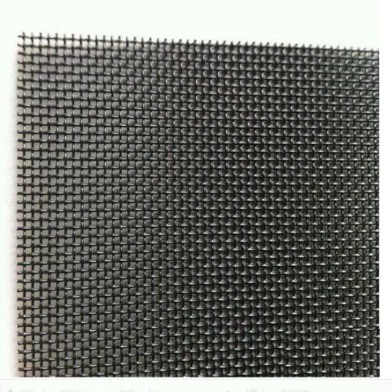 Stainless steel epoxy security wire mesh screen